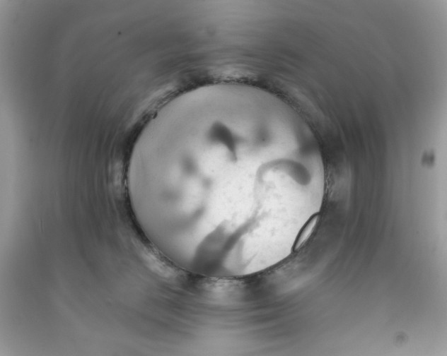 X0000091580670200709101020