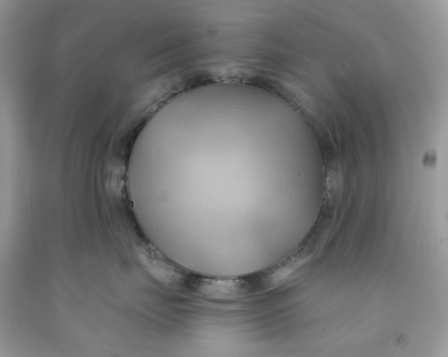 X0000091580671200709101020