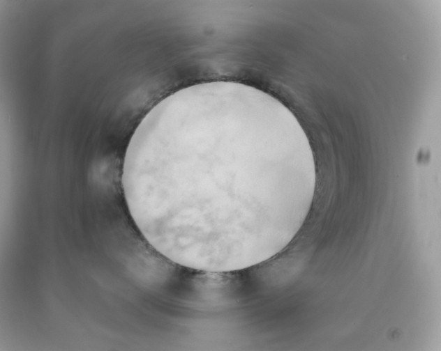 X0000091580672200709101020