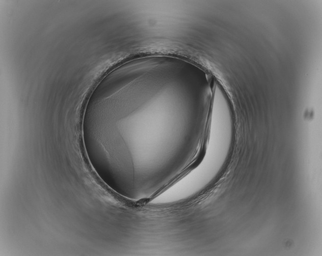 X0000091580673200709101019