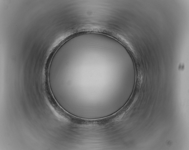 X0000091580674200709101019