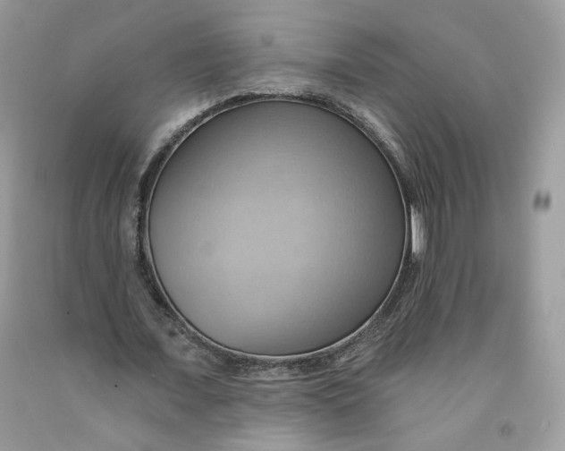 X0000091580675200709101019