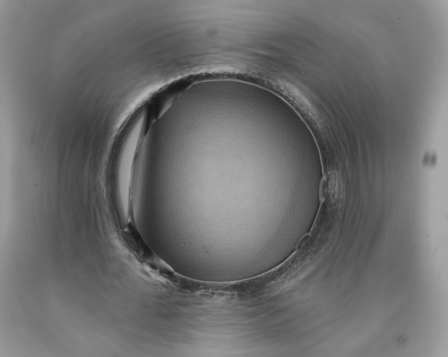 X0000091580676200709101019