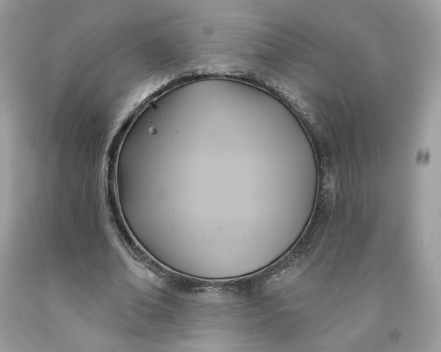 X0000091580678200709101019