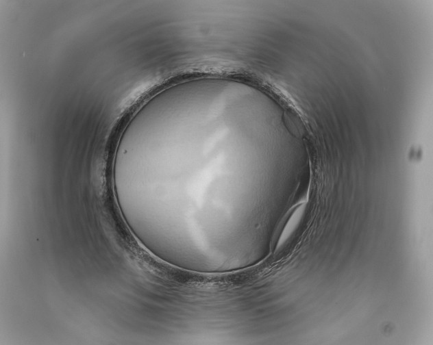 X0000091580679200709101019