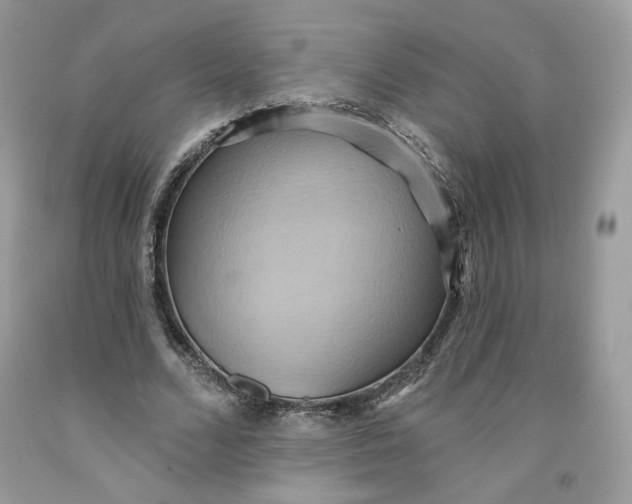 X0000091580680200709101019