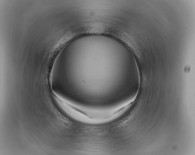 X0000091580681200709101019