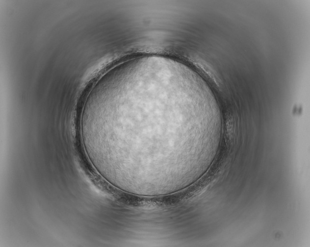 X0000091580682200709101019