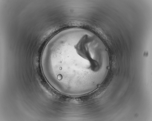 X0000091580683200709101019