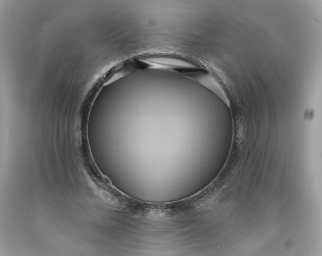 X0000091580684200709101019