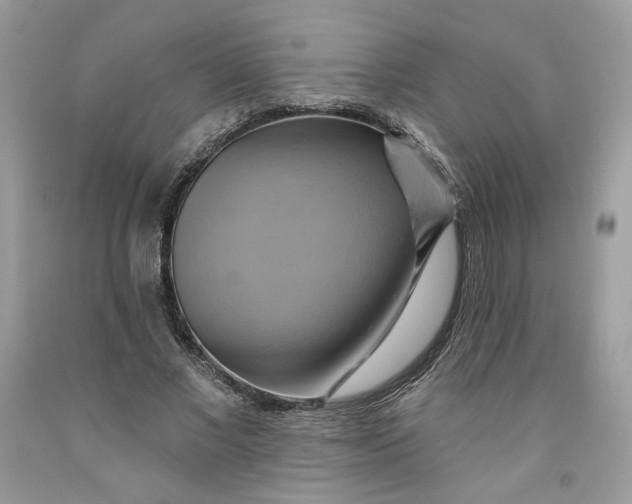 X0000091580685200709101019