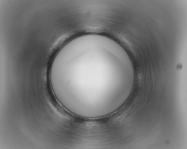 X0000091580686200709101019