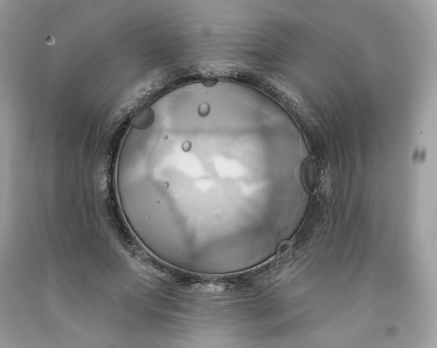 X0000091580687200709101019