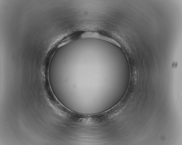 X0000091580688200709101019