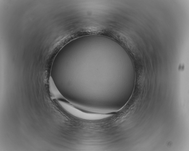 X0000091580689200709101019