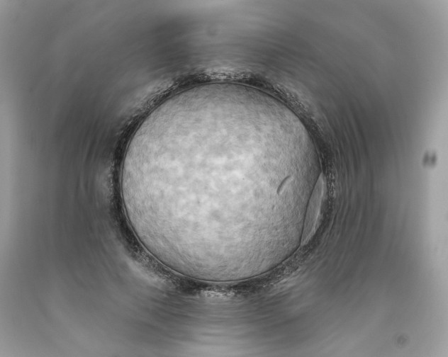 X0000091580690200709101019