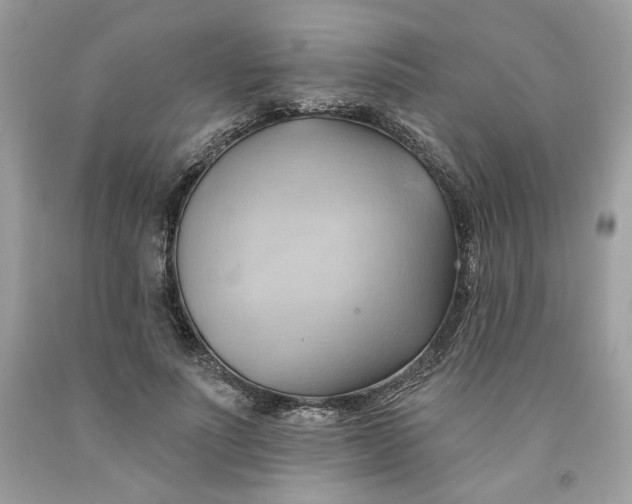 X0000091580691200709101019