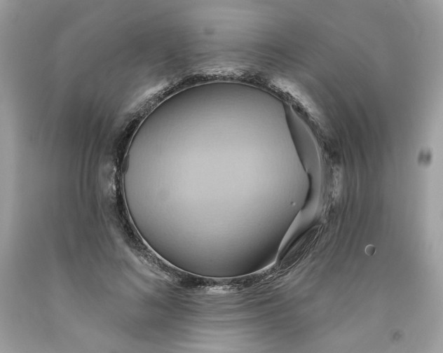 X0000091580692200709101019