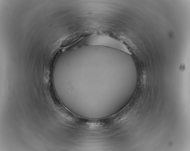 X0000091580693200709101019