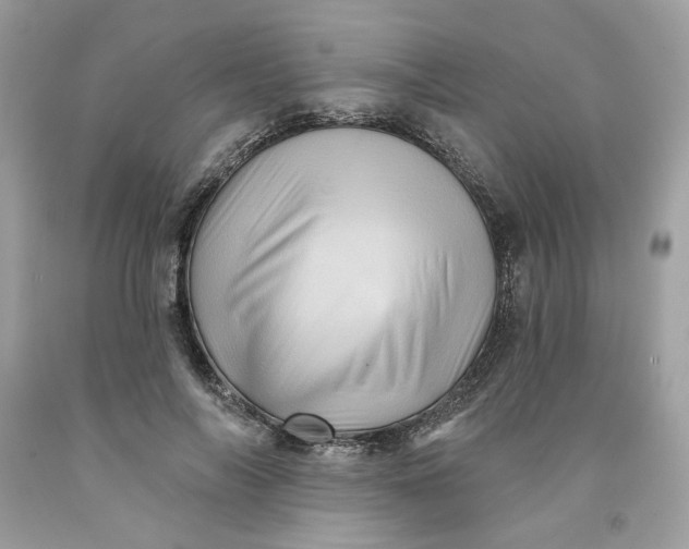 X0000091580694200709101019