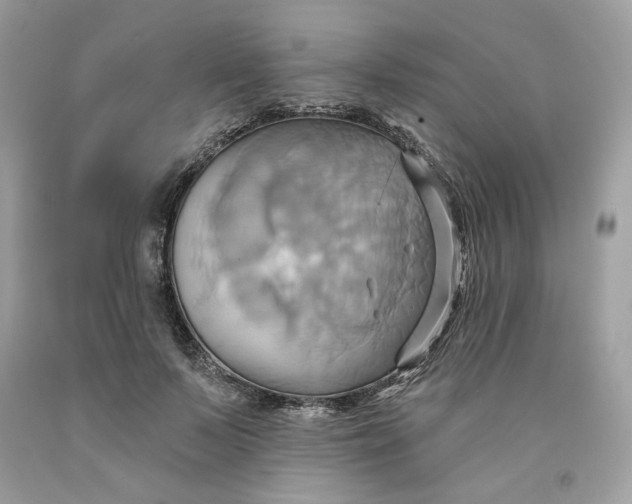 X0000091580695200709101019