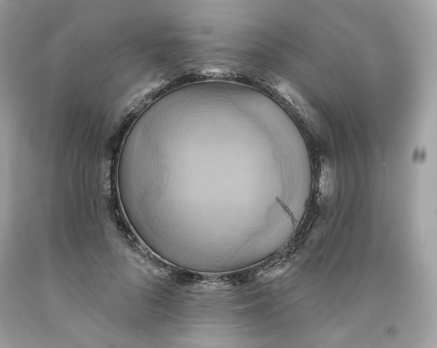 X0000091580696200709101019