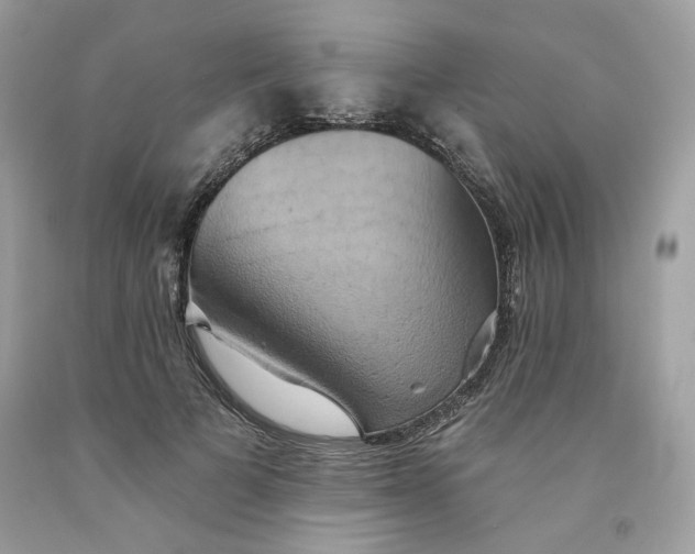 X0000091580697200709101019