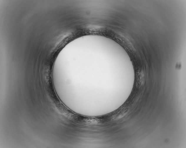 X0000091580698200709101019