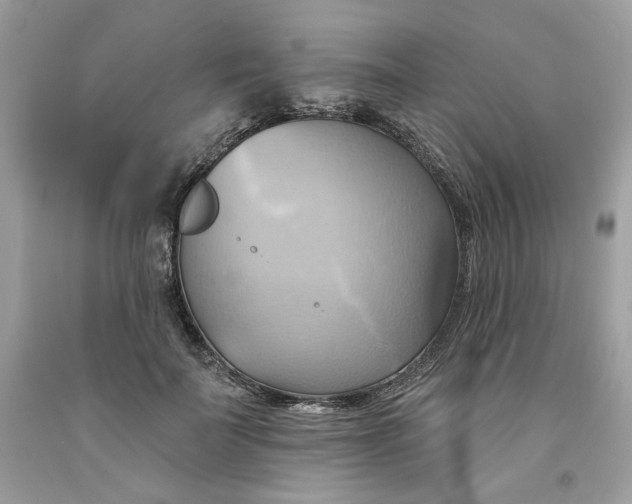 X0000091580699200709101019