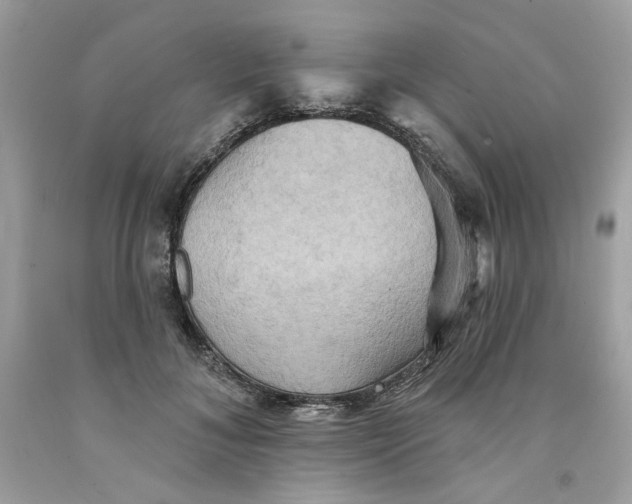 X0000091580700200709101019