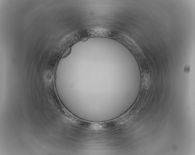 X0000091580701200709101019