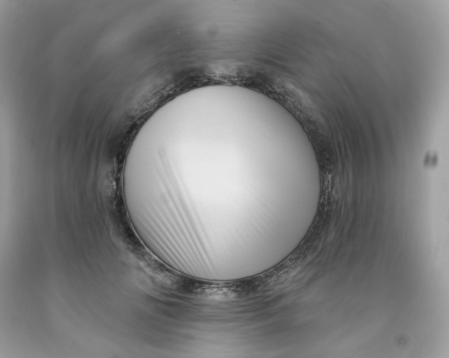 X0000091580702200709101019