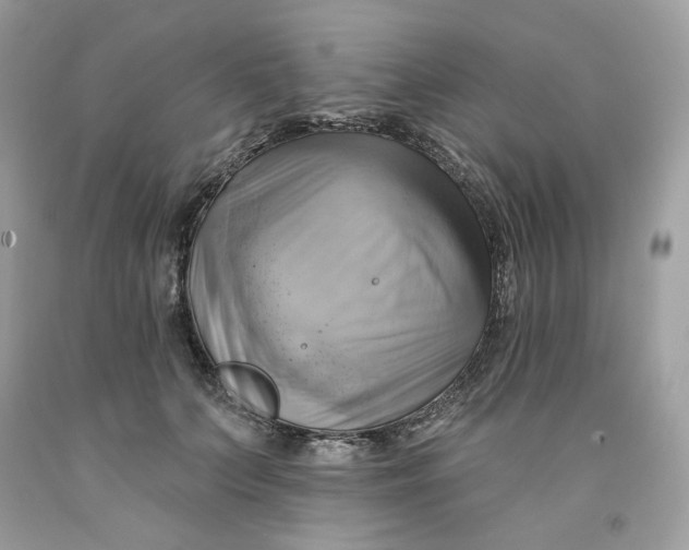 X0000091580703200709101019