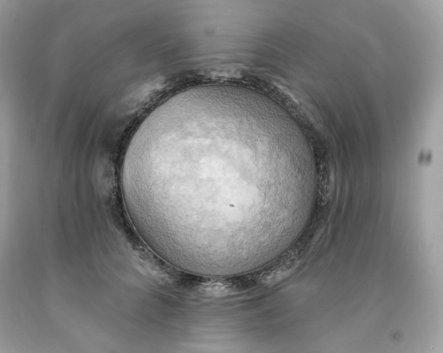 X0000091580704200709101019