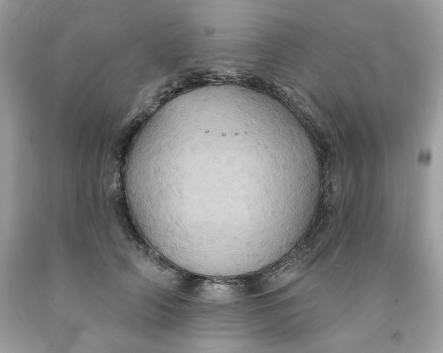 X0000091580706200709101018