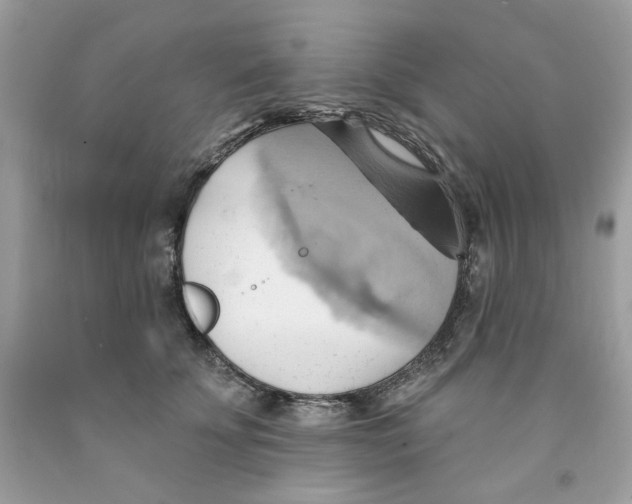 X0000091580707200709101018