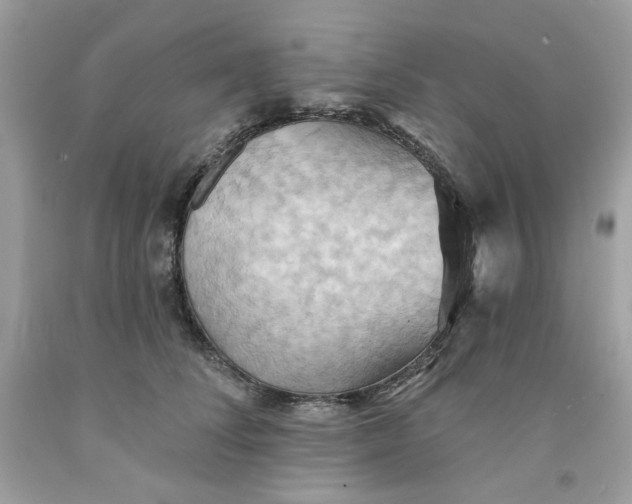 X0000091580708200709101018