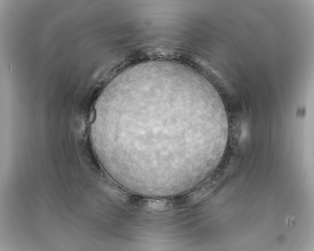 X0000091580709200709101018