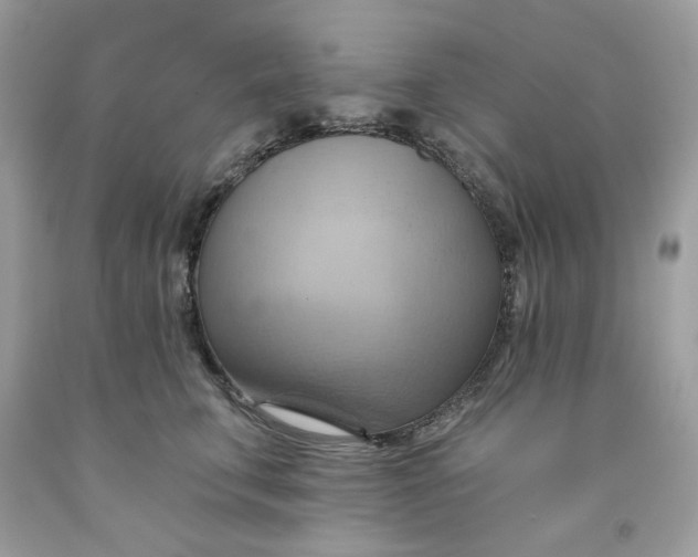 X0000091580711200709101018