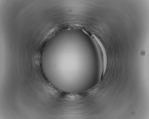 X0000091580712200709101018