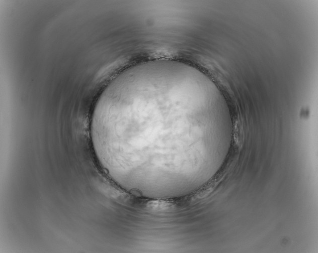 X0000091580714200709101018