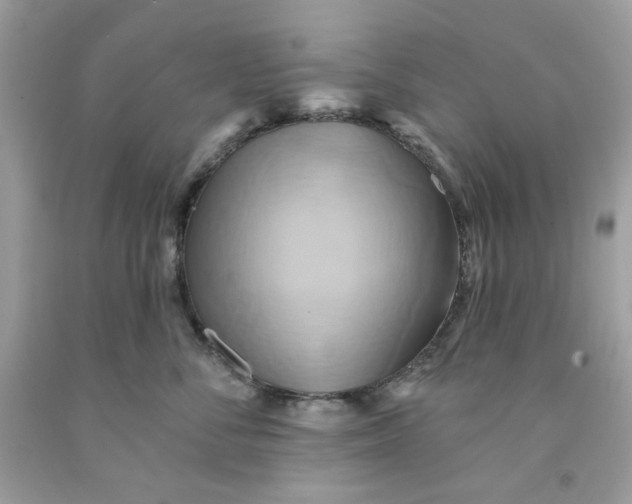 X0000091580716200709101018