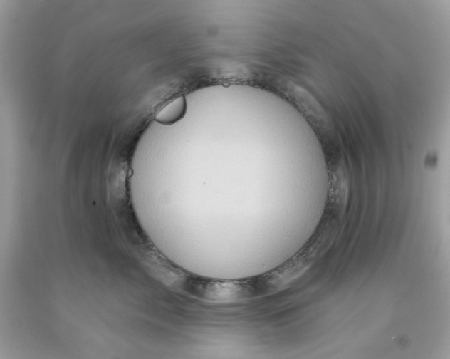 X0000091580717200709101018