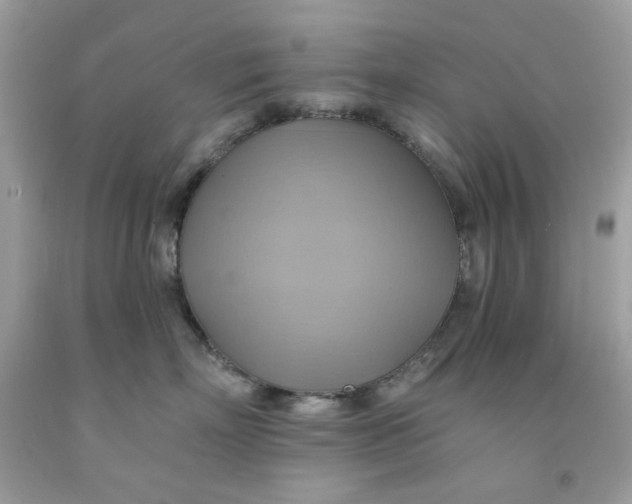 X0000091580718200709101018