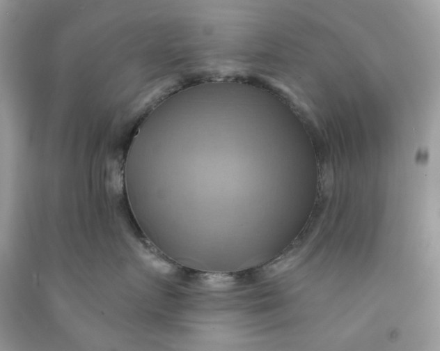 X0000091580719200709101018