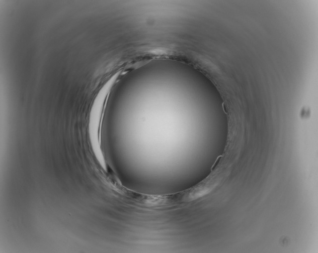 X0000091580720200709101018