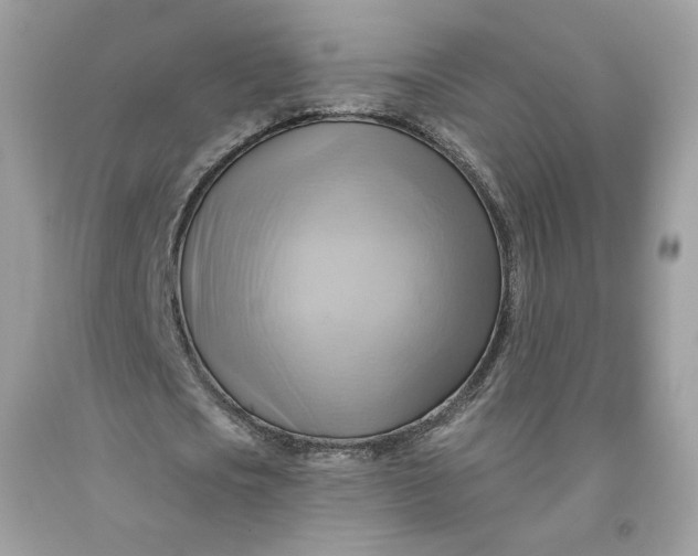 X0000091580721200709101018