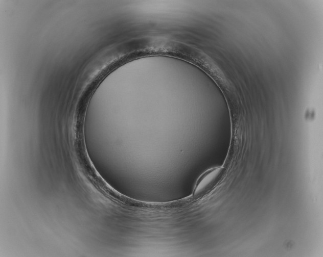 X0000091580722200709101018