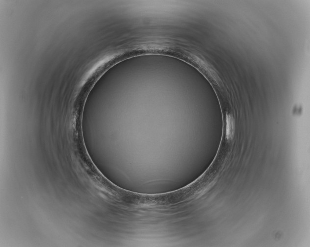 X0000091580723200709101018