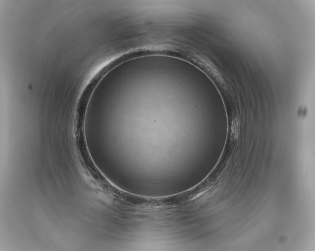 X0000091580724200709101018